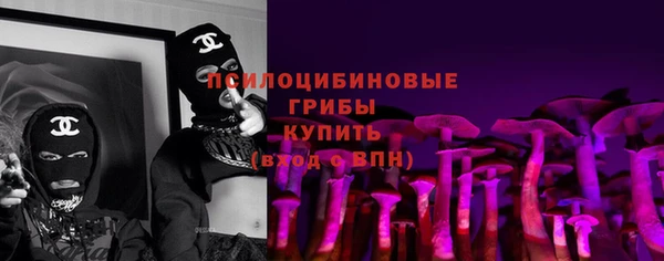 Альфа ПВП Алзамай